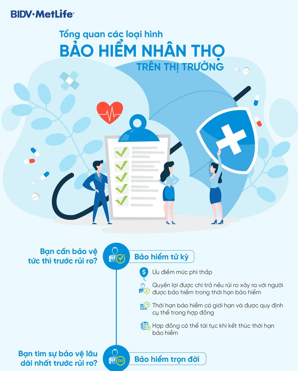 BIDV MetLife – E-infographic